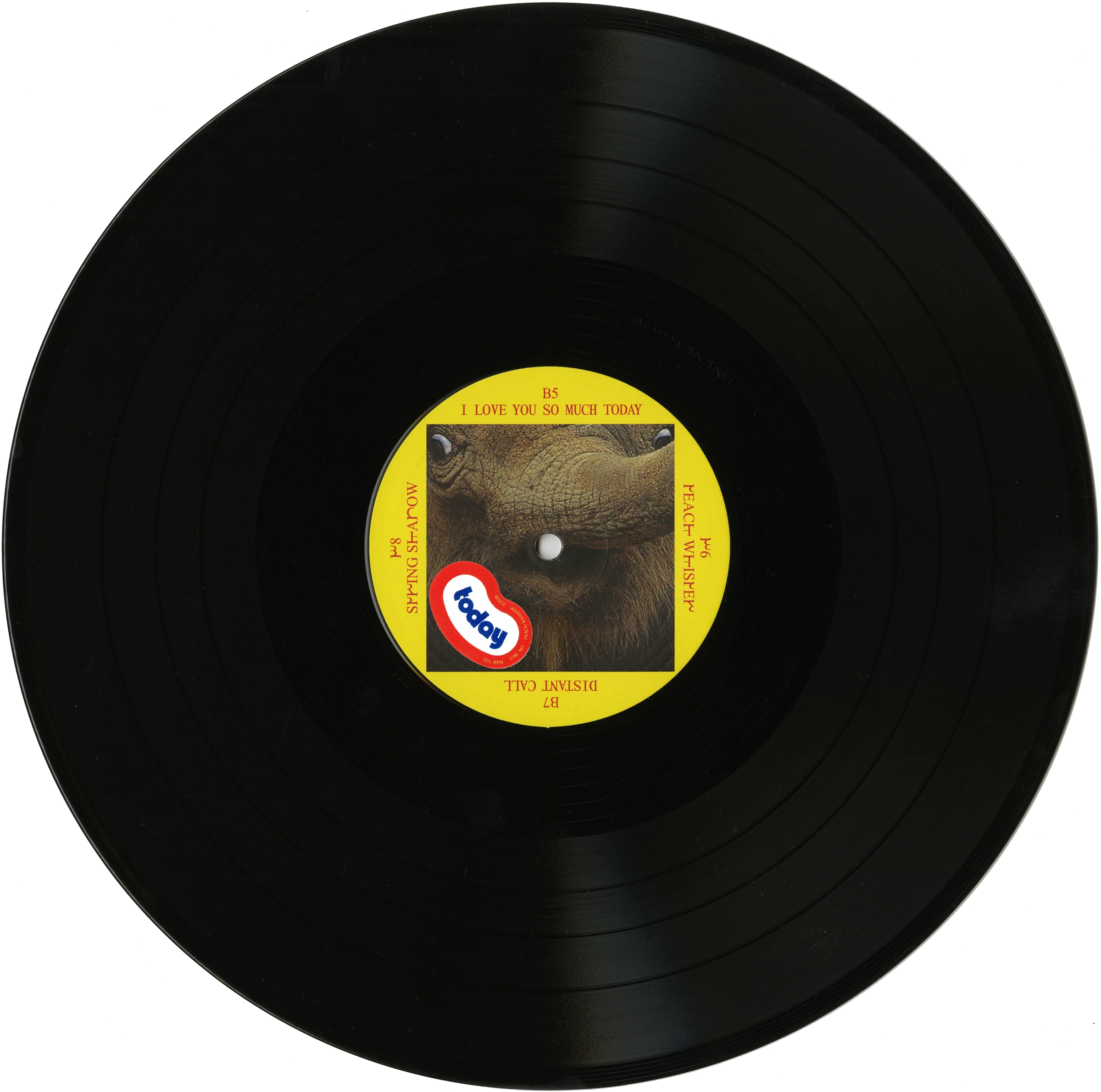 Vinyl record label design